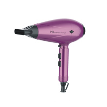 Professional Salon Hair Dryer with Big Power